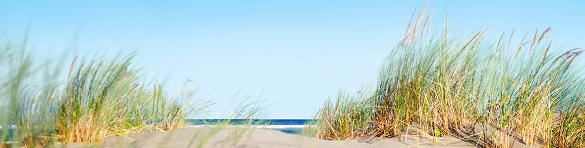 Dojo Zen de Quimper Dojo Zen de Quimper